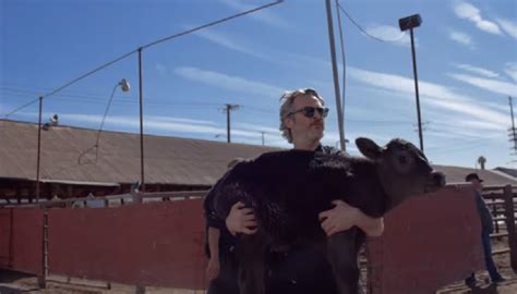 J­o­a­q­u­i­n­ ­P­h­o­e­n­i­x­ ­y­e­n­i­ ­d­o­ğ­u­m­ ­y­a­p­a­n­ ­b­i­r­ ­i­n­e­k­l­e­ ­y­a­v­r­u­s­u­n­u­ ­m­e­z­b­a­h­a­d­a­n­ ­k­u­r­t­a­r­d­ı­